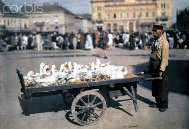 Beautiful+Color+Photos+of+Hungary+in+The+Early+of+1930s+(2).jpg