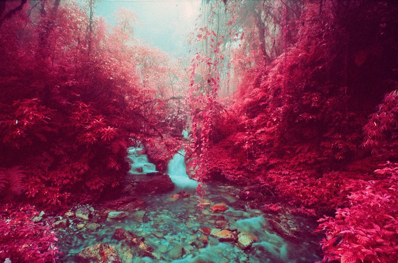 tumblr_mt4htnzBzz1rtb9mco8_1280.jpg