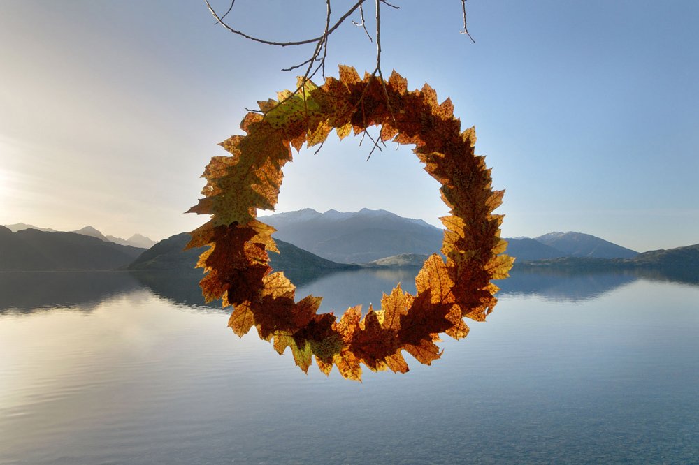 Autumn-Leaf-Cycle-.jpg