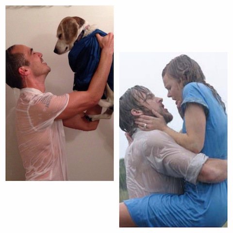 dog8.jpg