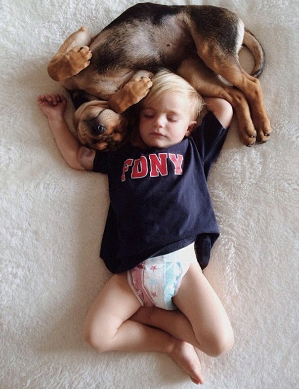 toddler-naps-with-puppy-theo-and-beau-2-10.jpg