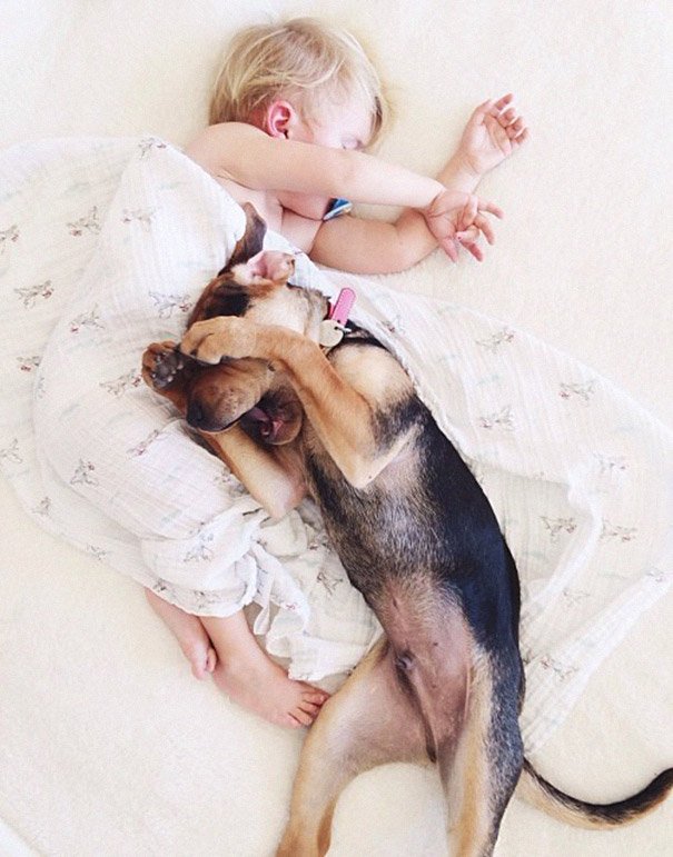 toddler-naps-with-puppy-theo-and-beau-2-14.jpg