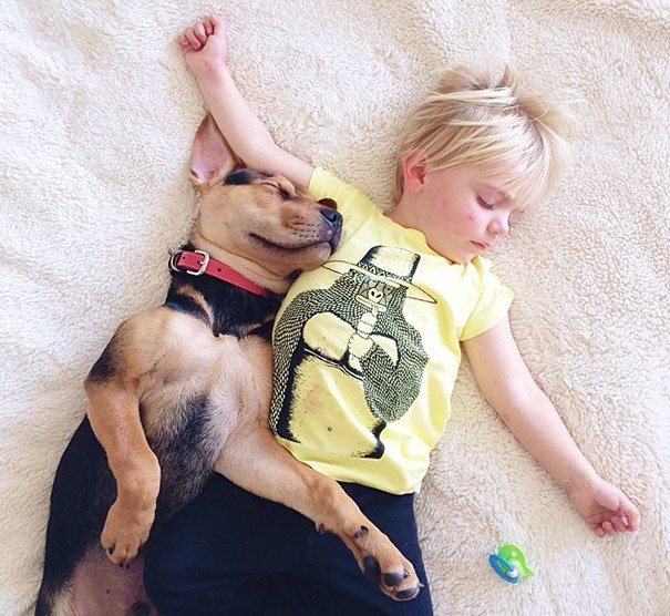 toddler-naps-with-puppy-theo-and-beau-2-3.jpg