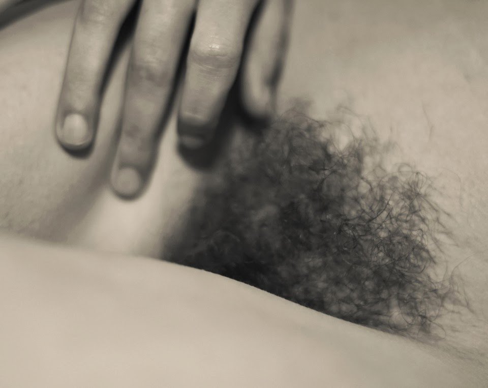 Fox Harvard (13).jpeg