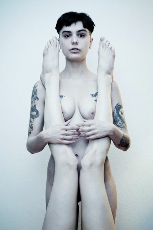 Fox Harvard (29).jpg