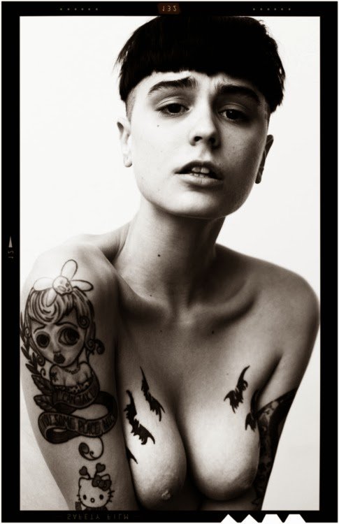 Fox Harvard (39).jpg