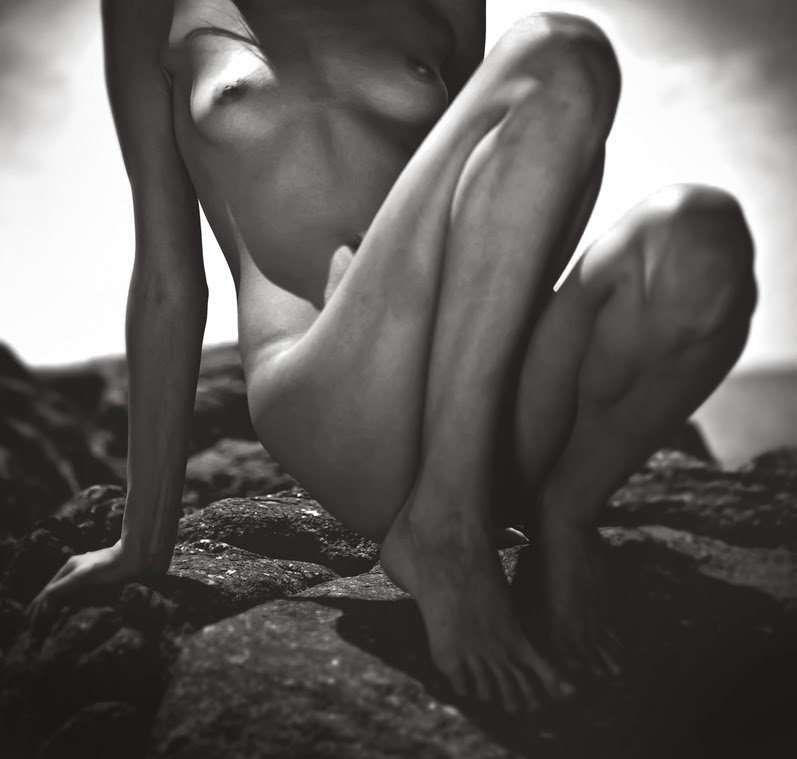 Fox Harvard (56).jpg