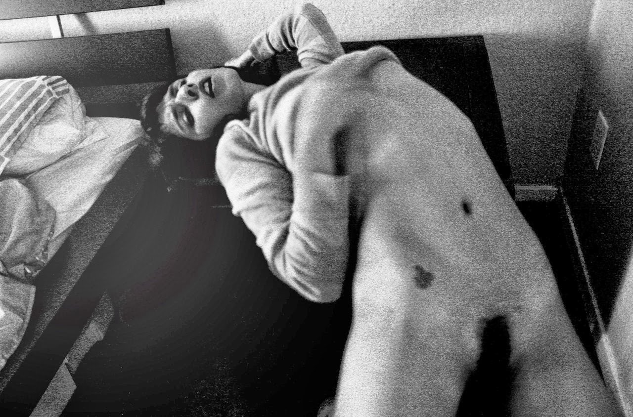 Fox Harvard (9).jpeg