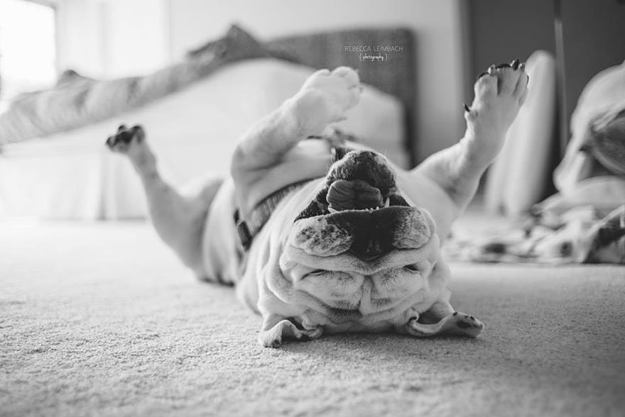 girl-english-bulldog-friendship-photography-lola-harper-rebecca-leimbach-16.jpg