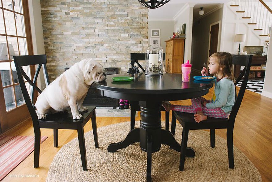 girl-english-bulldog-friendship-photography-lola-harper-rebecca-leimbach-5.jpg