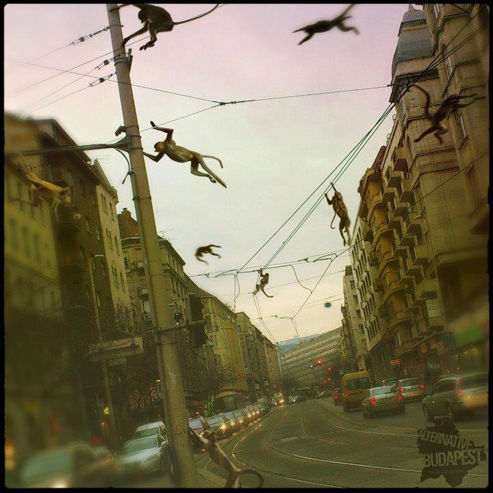 10100_341357409305260_988496655_n