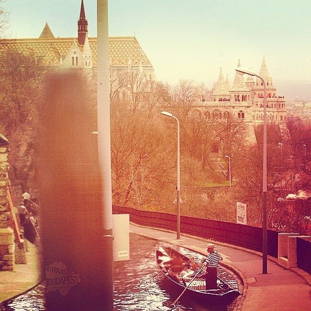 10155680_565316360242696_136066014656848790_n