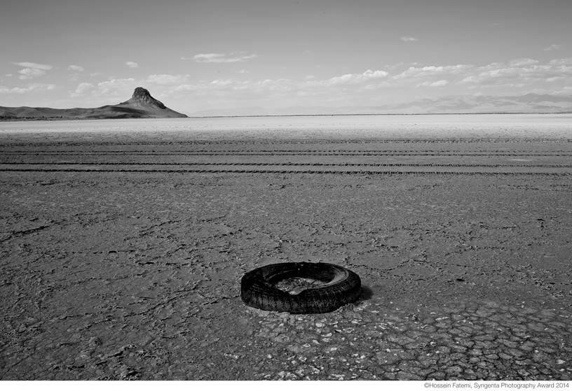Syngenta Photography Award - Hossein Fatemi.jpg