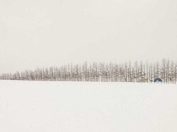 josef-hoflehner-patience-11-600x450