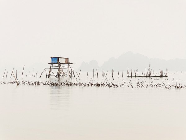 josef-hoflehner-patience-12-600x450