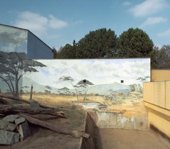 zoolandscape-jakub-skokan-savan-580x507