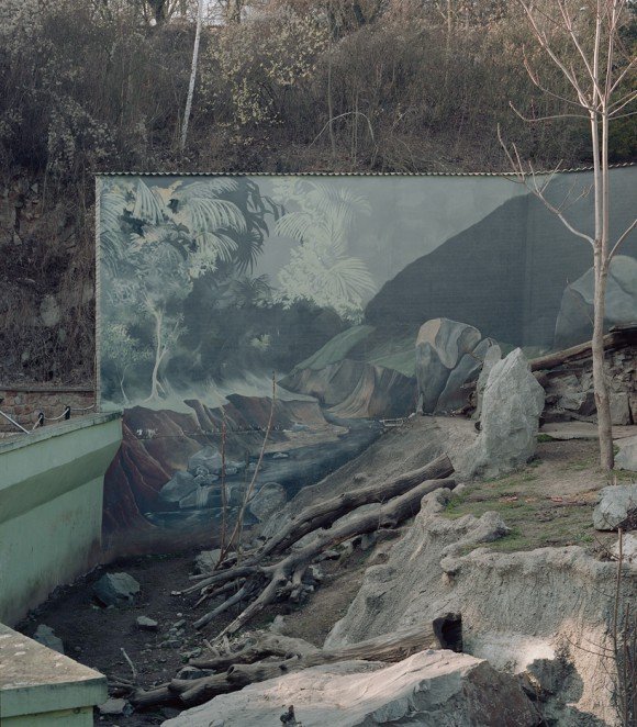 zoolandscape-jakub-skokan-tropic-580x662