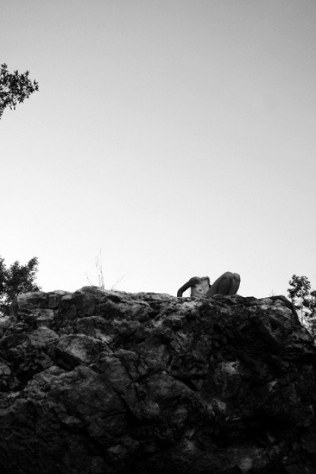 _MG_7202_o-450x675 másolata