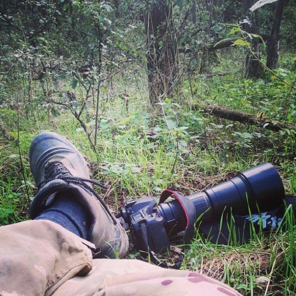 Számtalan erdő járós alkalomból az egyik, amikor is megpihen a fáradt vándor.