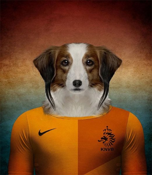 Dogs-of-World-Cup-Brazil-2014-10-600x690