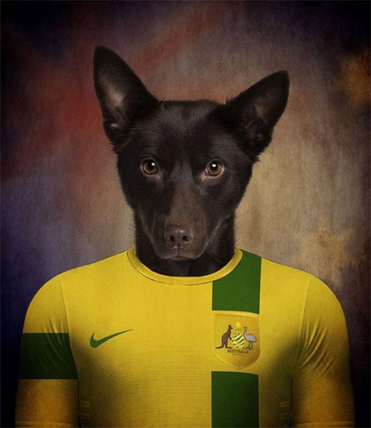 Dogs-of-World-Cup-Brazil-2014-11-600x690