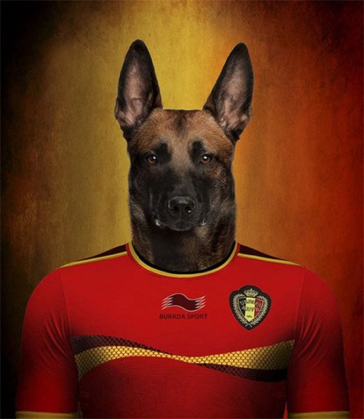 Dogs-of-World-Cup-Brazil-2014-12-600x690