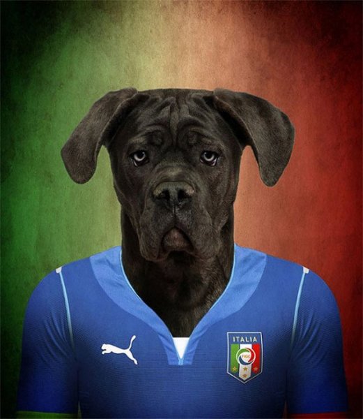 Dogs-of-World-Cup-Brazil-2014-13-600x690