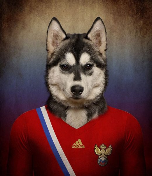 Dogs-of-World-Cup-Brazil-2014-15-600x690