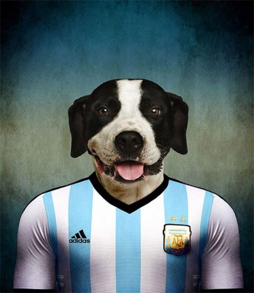 Dogs-of-World-Cup-Brazil-2014-2-600x690