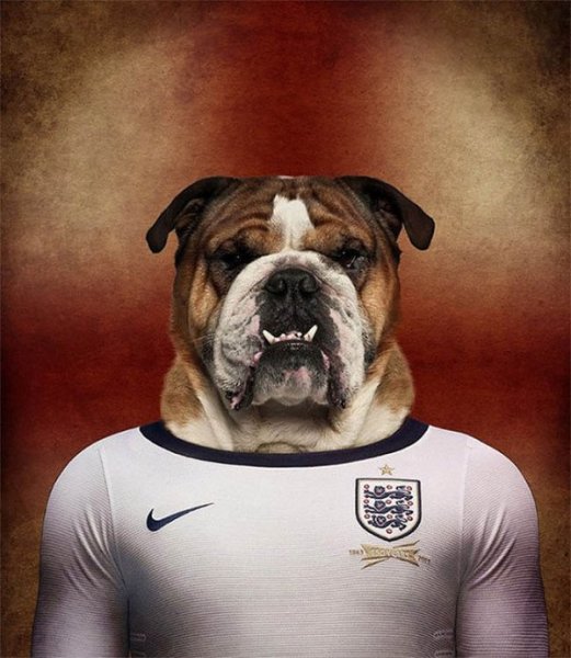 Dogs-of-World-Cup-Brazil-2014-3-600x690