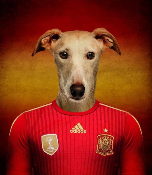 Dogs-of-World-Cup-Brazil-2014-4-600x690