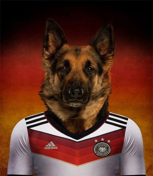 Dogs-of-World-Cup-Brazil-2014-5-600x690