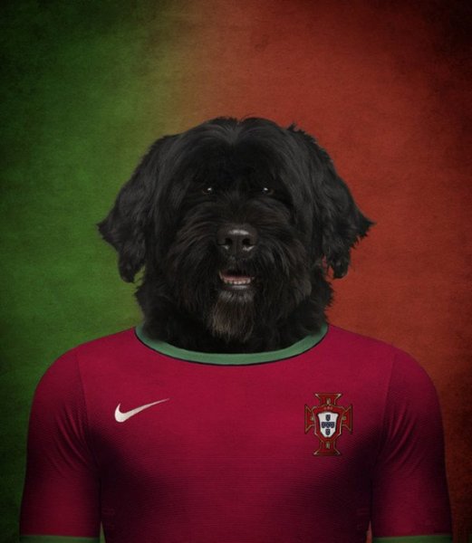 Dogs-of-World-Cup-Brazil-2014-6-600x690