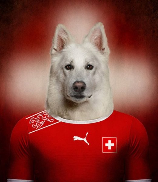 Dogs-of-World-Cup-Brazil-2014-7-600x690