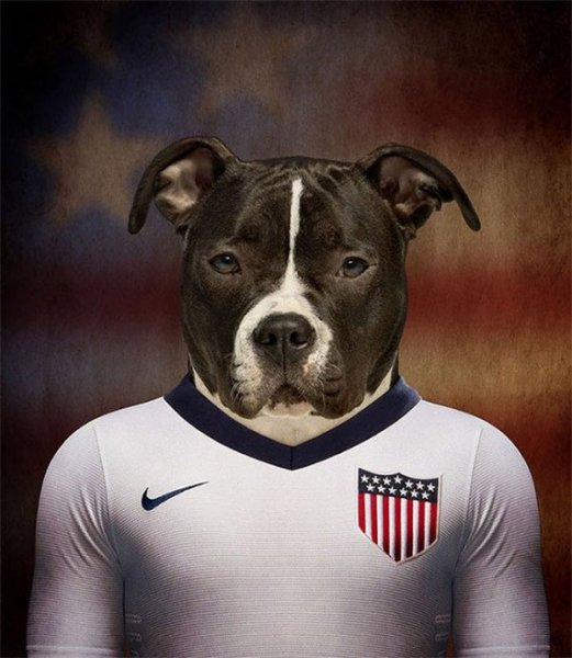 Dogs-of-World-Cup-Brazil-2014-8-600x690