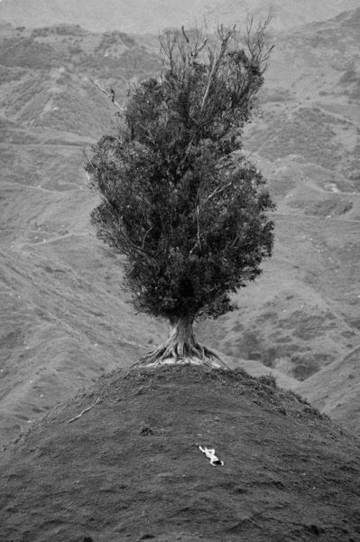 Nudes in Landscape (1)