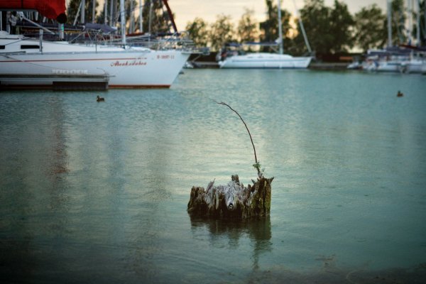 10575315_830149560338304_1432131579131781532_o