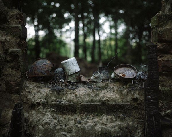 living-in-the-wild-escape-danila-tkachenko-20