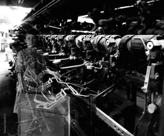 P1017786-3474798781-O