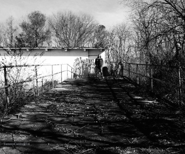 P1017807-3475207311-O