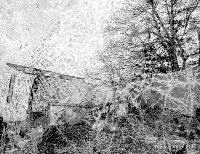 Parkdale-O + 10-3477631152