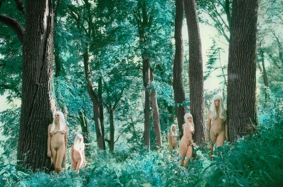 Shae DeTar- Hand-Colored Photograph