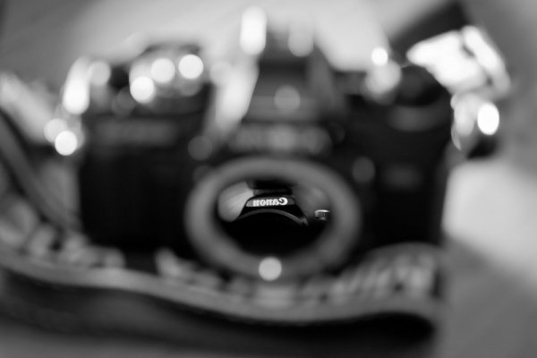 5367056004_fe455d64a5_b