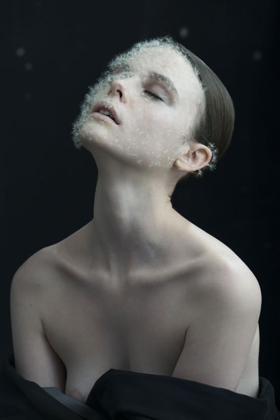 Dandelion-Chapuis-Duc-10